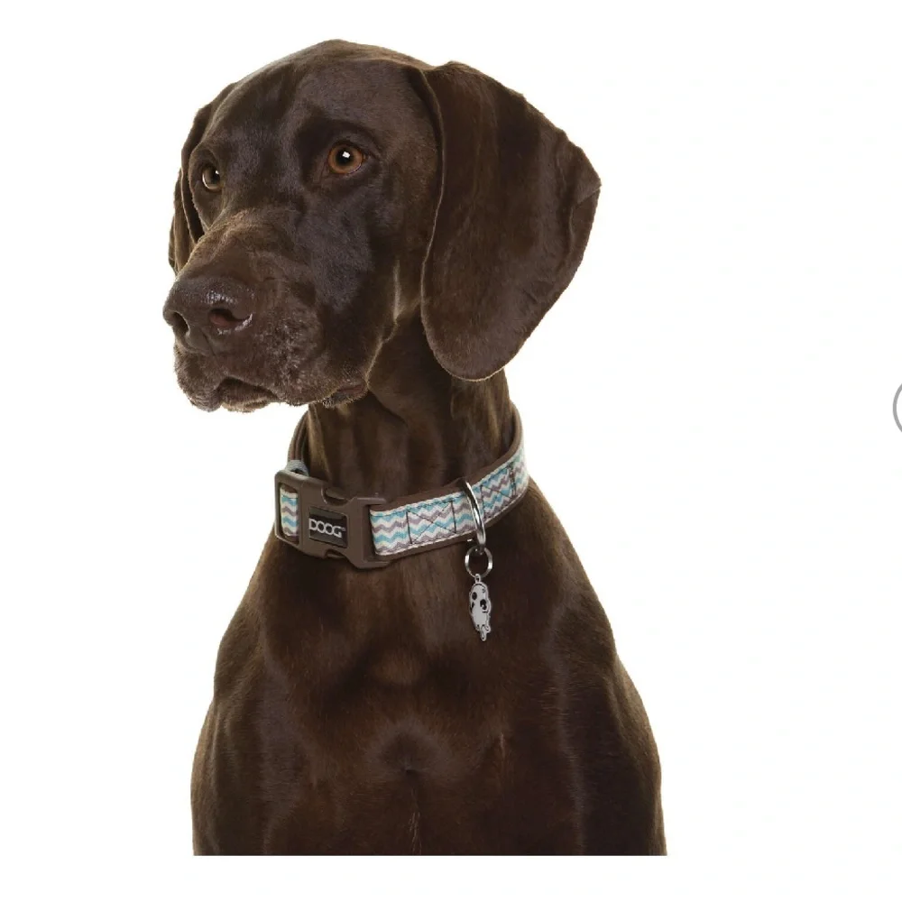 DOOG Benji Dog Collar Chevron, up to 17’’, NWOT